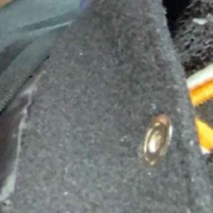 Meet your Posher, Nick